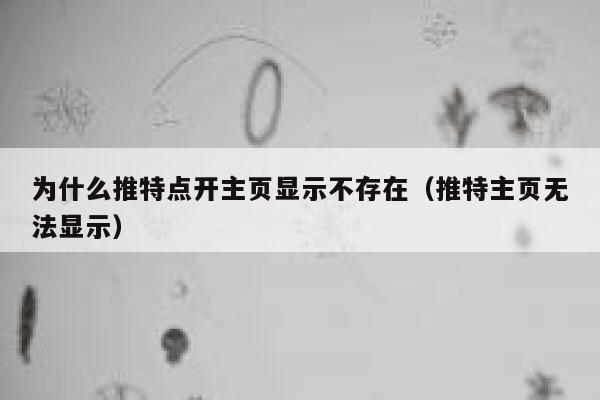 为什么推特点开主页显示不存在（推特主页无法显示） 第1张