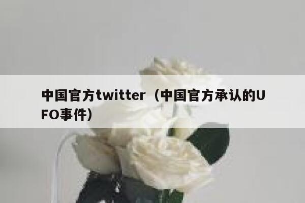 中国官方twitter（中国官方承认的UFO事件） 第1张