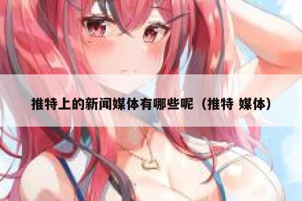 推特上的新闻媒体有哪些呢（推特 媒体） 第1张