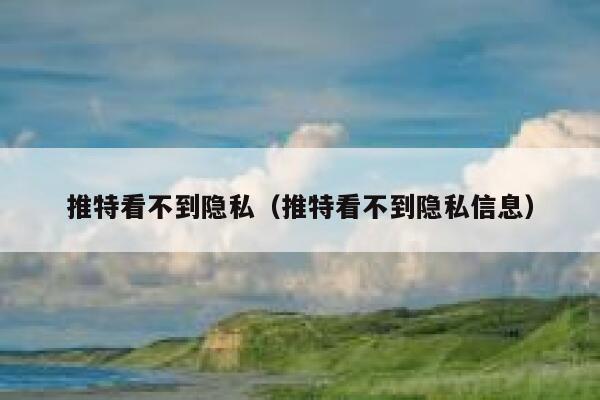 推特看不到隐私（推特看不到隐私信息） 第1张