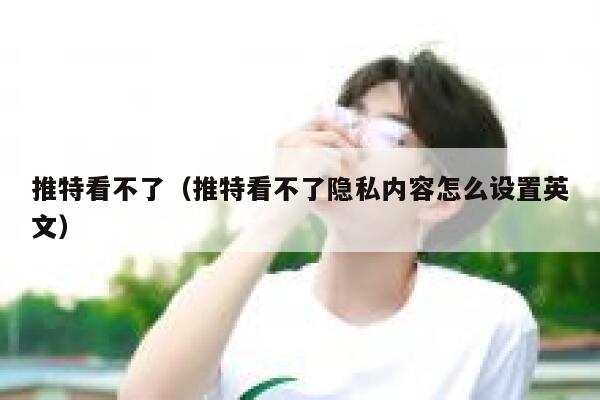 推特看不了（推特看不了隐私内容怎么设置英文） 第1张
