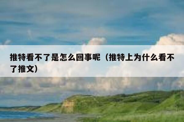 推特看不了是怎么回事呢（推特上为什么看不了推文） 第1张