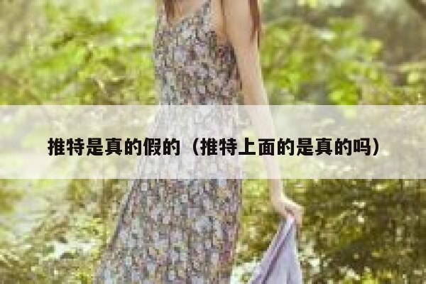 推特是真的假的（推特上面的是真的吗） 第1张