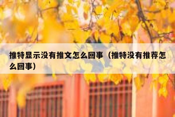 推特显示没有推文怎么回事（推特没有推荐怎么回事） 第1张