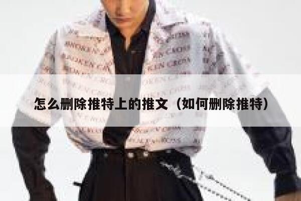 怎么删除推特上的推文（如何删除推特） 第1张