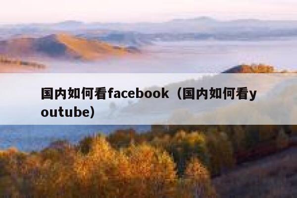 国内如何看facebook（国内如何看youtube） 第1张