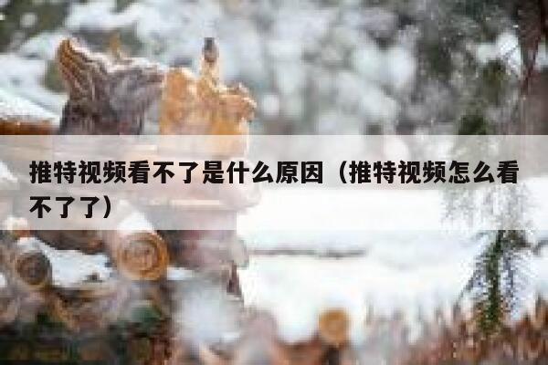 推特视频看不了是什么原因（推特视频怎么看不了了） 第1张