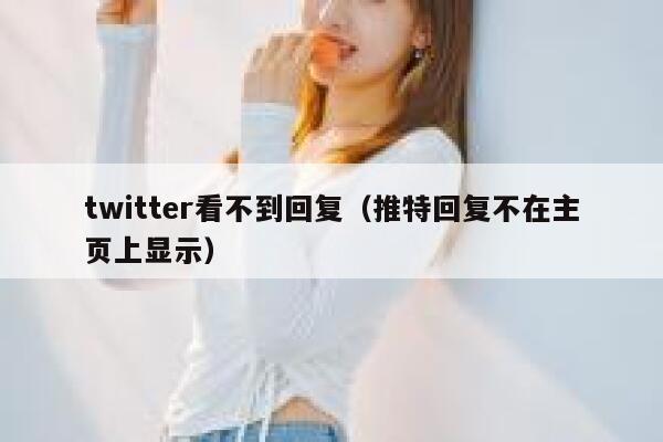 twitter看不到回复（推特回复不在主页上显示） 第1张
