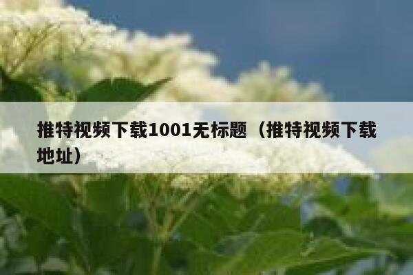 推特视频下载1001无标题（推特视频下载地址） 第1张