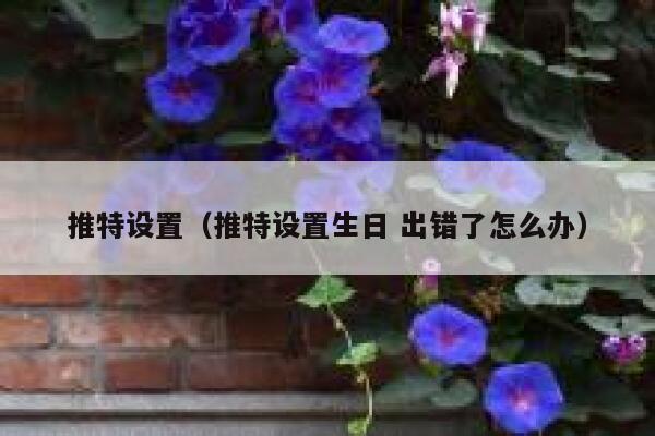 推特设置（推特设置生日 出错了怎么办） 第1张