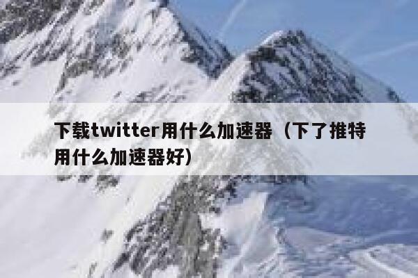 下载twitter用什么加速器（下了推特用什么加速器好） 第1张