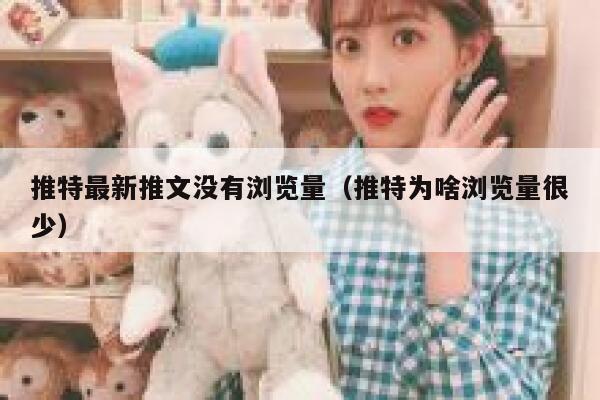 推特最新推文没有浏览量（推特为啥浏览量很少） 第1张