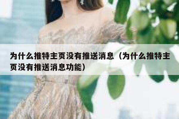 为什么推特主页没有推送消息（为什么推特主页没有推送消息功能） 第1张