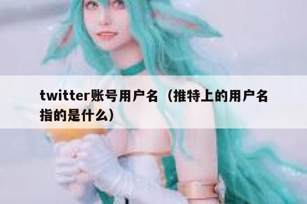 twitter账号用户名（推特上的用户名指的是什么） 第1张