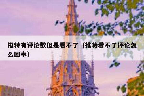 推特有评论数但是看不了（推特看不了评论怎么回事） 第1张