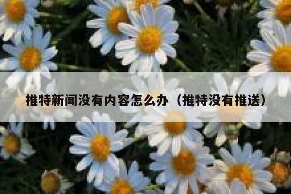 推特新闻没有内容怎么办（推特没有推送） 第1张