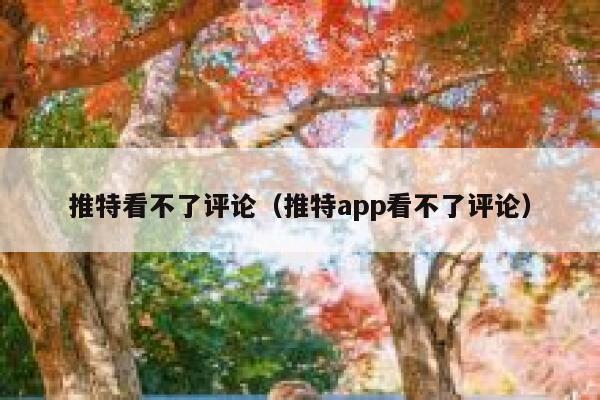 推特看不了评论（推特app看不了评论） 第1张