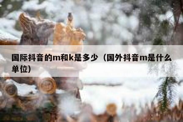 国际抖音的m和k是多少（国外抖音m是什么单位） 第1张