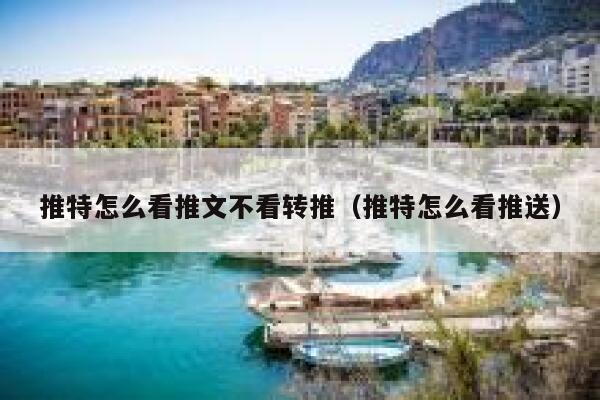 推特怎么看推文不看转推（推特怎么看推送） 第1张