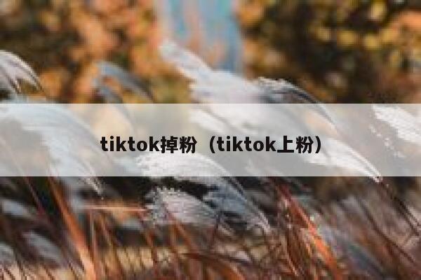 tiktok掉粉（tiktok上粉） 第1张