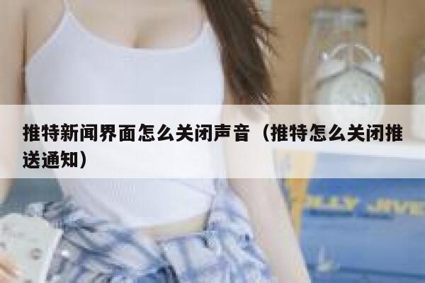 推特新闻界面怎么关闭声音（推特怎么关闭推送通知） 第1张