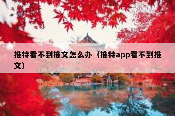 推特看不到推文怎么办（推特app看不到推文） 第1张