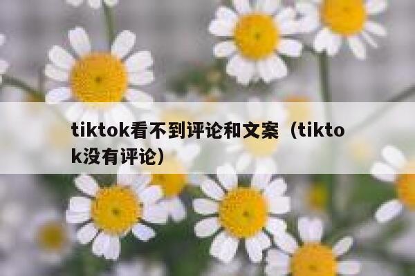 tiktok看不到评论和文案（tiktok没有评论） 第1张
