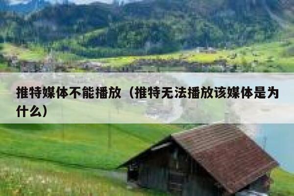 推特媒体不能播放（推特无法播放该媒体是为什么） 第1张