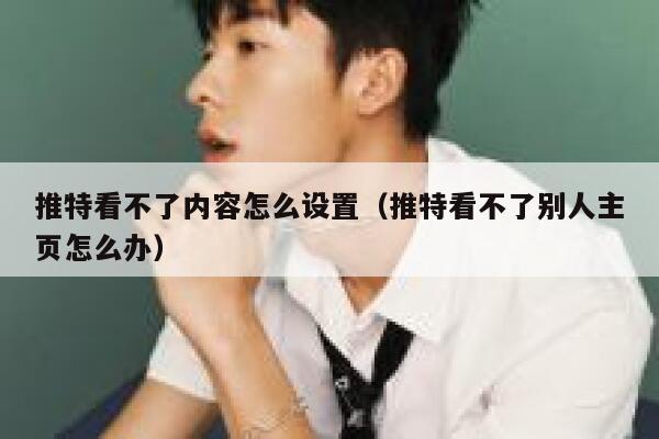推特看不了内容怎么设置（推特看不了别人主页怎么办） 第1张