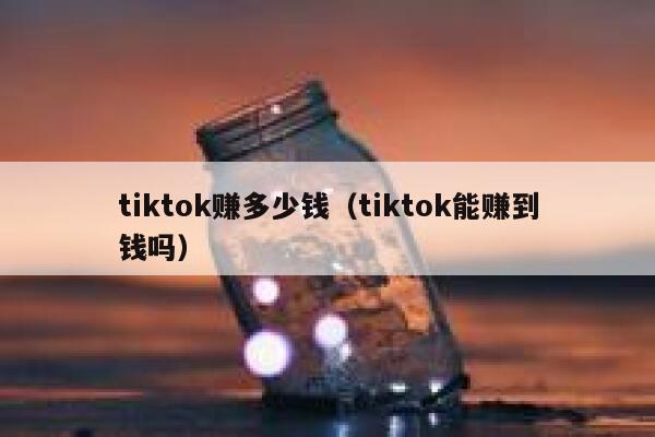 tiktok赚多少钱（tiktok能赚到钱吗） 第1张