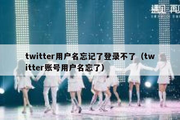 twitter用户名忘记了登录不了（twitter账号用户名忘了） 第1张