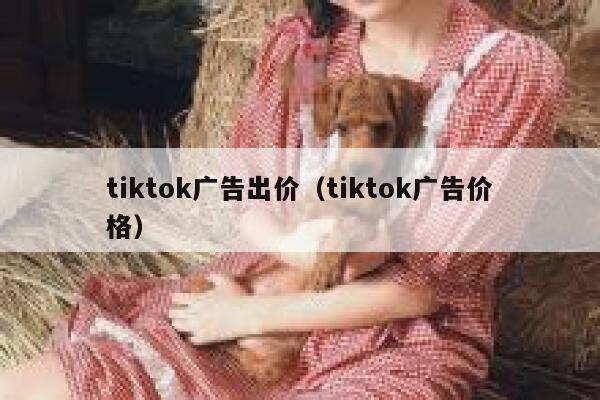 tiktok广告出价（tiktok广告价格） 第1张