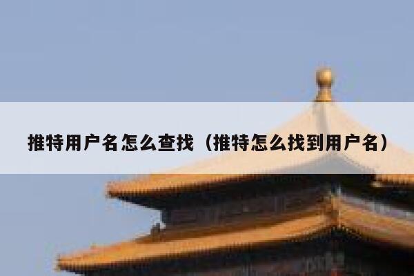 推特用户名怎么查找（推特怎么找到用户名） 第1张