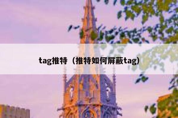 tag推特（推特如何屏蔽tag） 第1张