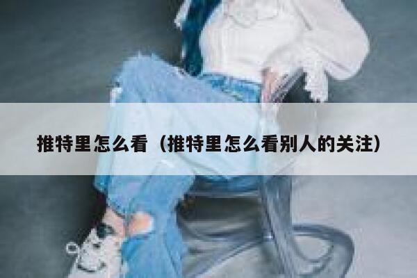 推特里怎么看（推特里怎么看别人的关注） 第1张