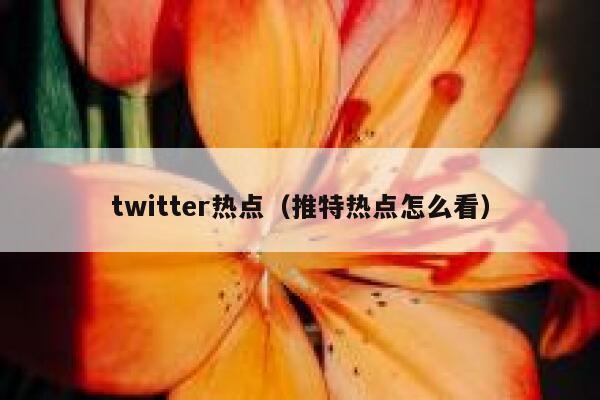 twitter热点（推特热点怎么看） 第1张