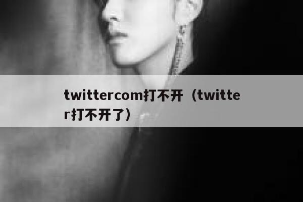 twittercom打不开（twitter打不开了） 第1张
