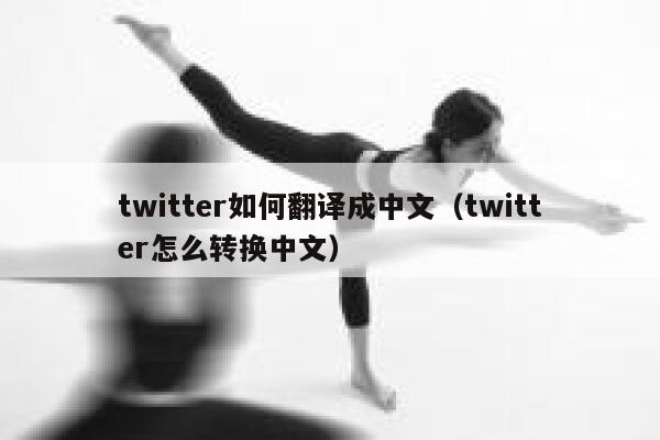 twitter如何翻译成中文（twitter怎么转换中文） 第1张