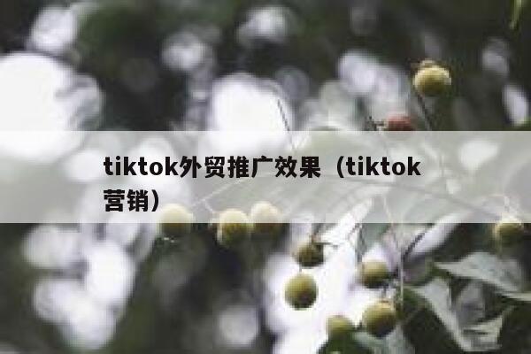 tiktok外贸推广效果（tiktok 营销） 第1张