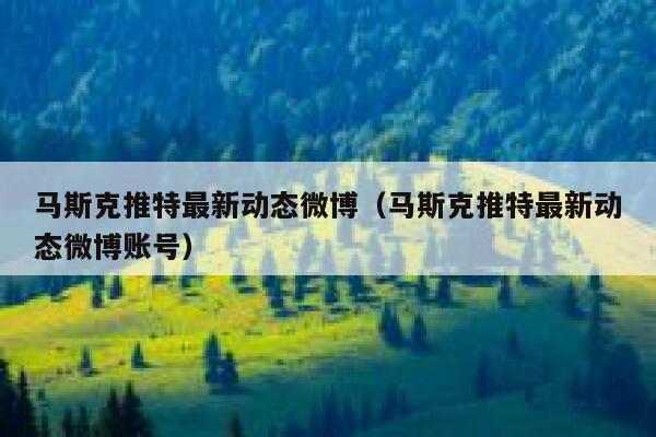 马斯克推特最新动态微博（马斯克推特最新动态微博账号） 第1张
