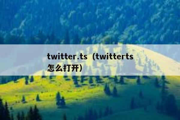 twitter.ts（twitterts怎么打开） 第1张