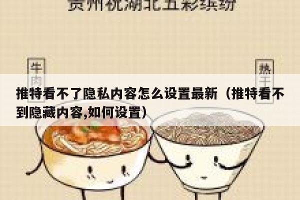 推特看不了隐私内容怎么设置最新（推特看不到隐藏内容,如何设置） 第1张