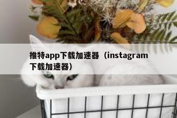 推特app下载加速器（instagram下载加速器） 第1张