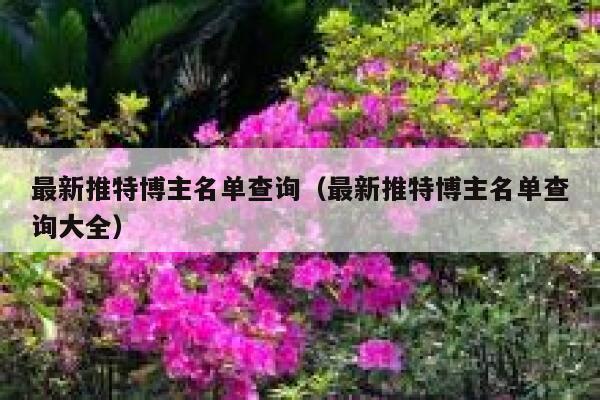 最新推特博主名单查询（最新推特博主名单查询大全） 第1张