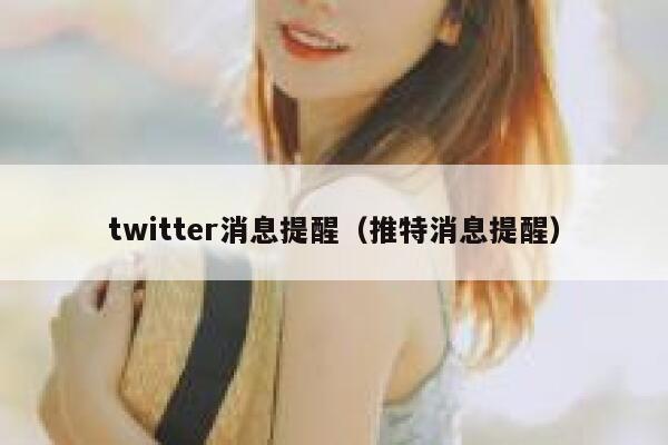 twitter消息提醒（推特消息提醒） 第1张