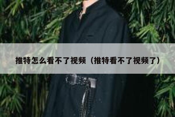 推特怎么看不了视频（推特看不了视频了） 第1张