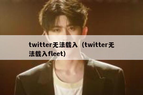 twitter无法载入（twitter无法载入fleet） 第1张