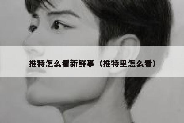 推特怎么看新鲜事（推特里怎么看） 第1张