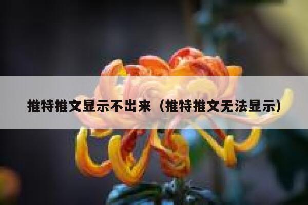 推特推文显示不出来（推特推文无法显示） 第1张