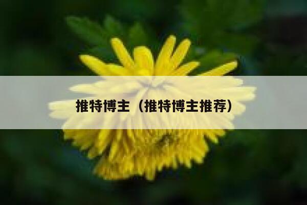 推特博主（推特博主推荐） 第1张